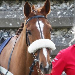 Etoile Brilliante at Chepstow. 24/3/2022 Pic Steve Davies