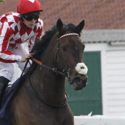 Adelabella at Yarmouth. 30/4/2024 Pic Steve Davies